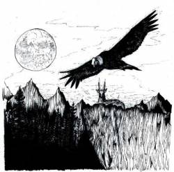 Nocturnal Delirium : The Last Flight of the Condor